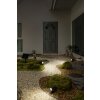Lámparas Ledvance Endura Foco de jardín LED Negro, 1 luz