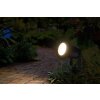 Lámparas Ledvance Endura Foco de jardín LED Negro, 1 luz