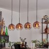 Koyoto Lámparas colgantes Transparente, Color cobre, 4 luces
