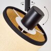 Chellas Plafones Negro, 4 luces