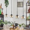 Koyoto Lámparas colgantes Colores ámbar, Transparente, 4 luces