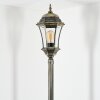 Etoe Candelabro, Iluminación de caminos dorado, Negro, 1 luz