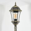 Etoe Candelabro, Iluminación de caminos dorado, Negro, 1 luz