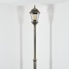 Etoe Candelabro, Iluminación de caminos dorado, Negro, 1 luz