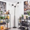 Gastor Lámpara de pie Negro, 3 luces
