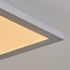 Colminy Lámpara de Techo LED Plata, 1 luz