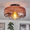 Boza Plafones Transparente, Color cobre, 1 luz