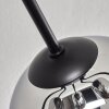 Gastor Plafones Cromo, Ahumado, 6 luces
