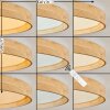 Tabernas Plafones LED Crudo, Blanca, 1 luz, Mando a distancia