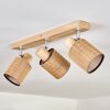 Kinnared Plafones, Spot techo Cromo, Crudo, 3 luces
