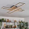 Macos Plafones, Spot techo LED Marrón, Color madera, Negro, 1 luz