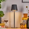 Salgadinho Lámparas de mesa LED Negro, 1 luz