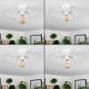 Cristelo Plafones Blanca, 1 luz