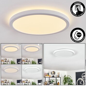 Endrup Plafones LED Blanca, 1 luz
