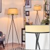 Chellas Lámpara de pie beige, Negro, 1 luz