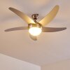 Ventiladores de techo Morino Níquel-mate, Plata, 2 luces, Mando a distancia