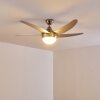 Ventiladores de techo Morino Níquel-mate, Plata, 2 luces, Mando a distancia