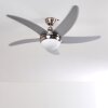 Ventiladores de techo Morino Níquel-mate, Plata, 2 luces, Mando a distancia