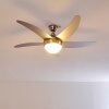 Ventiladores de techo Morino Níquel-mate, Plata, 2 luces, Mando a distancia