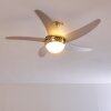 Ventiladores de techo Morino Níquel-mate, Plata, 2 luces, Mando a distancia