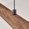 Carbellino Lámparas colgantes LED Blanca, 1 luz