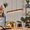 Carbellino Lámparas colgantes LED Blanca, 1 luz