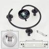 Gastor Plafones, Luminarias esféricas Cromo, Ahumado, 3 luces