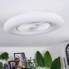Benesal Plafones, lámpara ventilador de techo Blanca, 1 luz, Mando a distancia