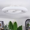 Benesal Plafones, lámpara ventilador de techo Blanca, 1 luz, Mando a distancia