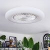 Benesal Plafones, lámpara ventilador de techo Blanca, 1 luz, Mando a distancia