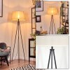 Bassagoda Lámpara de pie beige, Blanca, 1 luz