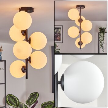 Gastor Plafones, Luminarias esféricas Transparente, 6 luces