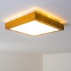 Sora Wood Lámpara de Techo LED Madera clara, 1 luz