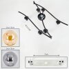 Gastor Plafones, Luminarias esféricas Colores ámbar, Ahumado, 6 luces
