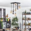 Chehalis Plafones, Luminarias esféricas Colores ámbar, Ahumado, 9 luces