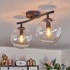 Gastor Plafones, Luminarias esféricas Transparente, 2 luces