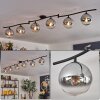 Gastor Plafones, Luminarias esféricas Cromo, Transparente, Ahumado, 6 luces