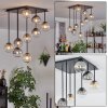 Chehalis Plafones, Luminarias esféricas Colores ámbar, Transparente, Ahumado, 9 luces