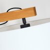 Bassagoda Lámpara de pie Crudo, Negro, 1 luz