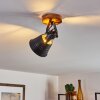 Berkeley Lámpara de Techo Madera oscura, Negro, 1 luz