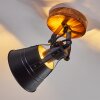 Berkeley Lámpara de Techo Madera oscura, Negro, 1 luz