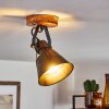 Berkeley Lámpara de Techo Madera oscura, Negro, 1 luz