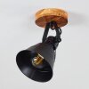 Berkeley Lámpara de Techo Madera oscura, Negro, 1 luz