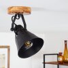 Berkeley Lámpara de Techo Madera oscura, Negro, 1 luz