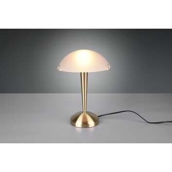 Reality Pilz 2 Lámpara de mesa Latón, 1 luz