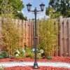 Loria Iluminación exterior, Candelabro, Iluminación de caminos Negro, 2 luces