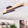 Lemene Plafones LED Crudo, Negro, 2 luces