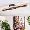 Lemene Plafones LED Crudo, Negro, 2 luces