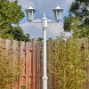 Loria Iluminación exterior, Candelabro, Iluminación de caminos Blanca, 2 luces