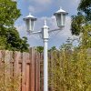 Loria Iluminación exterior, Candelabro, Iluminación de caminos Blanca, 2 luces